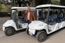 3 hour Golf Cart tour of Rome with Gelato