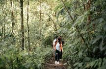 Rainforest Trekking, Tamblingan Lake Canoeing and Best Waterfall