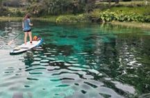 Rainbow Springs Electric Paddle Tour