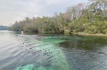 Rainbow Springs Electric Paddle Tour