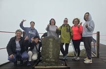 Jeju Private Half-Day Tour for Cruise Customers