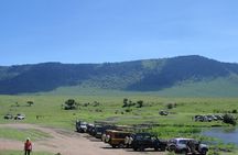 8-Day Private Luxury Safari: Northern Parks & Materuni Waterfalls