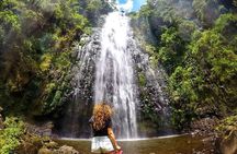 Private Materuni Waterfalls, Coffee Tour and Kikuletwa Hot Spring