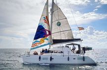 Marbella 3-hour Catamaran Group Excursion with Dolphin Watching