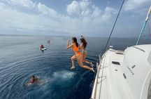 Marbella 3-hour Catamaran Group Excursion with Dolphin Watching