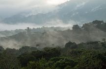 360° Jungle Day Tour Expedition Amazonia Ecuador rainforest