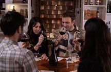Tour of San Gimignano and Private Wine Experience in Chianti