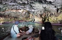 Monopoli Shared tour by Gozzo boat to the Polignano caves