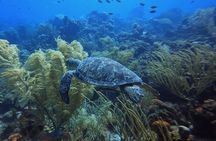 PADI Open Water Course in 3 days