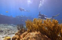 PADI Open Water Course in 3 days
