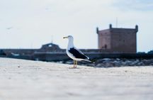 3 Days Essaouira experience with Full Day Horse Ride and Picnic