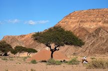 Sinai Valleys One Day Hiking Tour with Guide