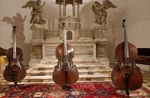 Interpreti Veneziani Concert in Venice Including Music Museum