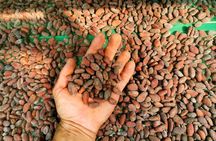 Chocolate and Coffee Tasting Tour Manuel Antonio