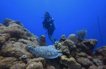 PADI Open Water Course in 3 days