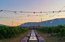 Visit and wine tasting 30 minutes from Pescara