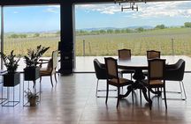 Visit and wine tasting 30 minutes from Pescara