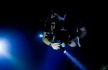 Night dive at Tugboat Beach in Curacao
