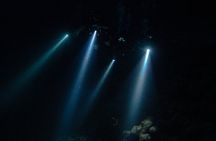 Night dive at Tugboat Beach in Curacao