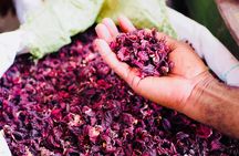 Swahili Cooking Class Experience with a Local Chef