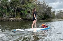 Backland Alligator Electric Paddle Tour