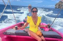 Private Boat Tour:St.Lucia private charter 
