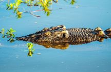 Private Day Tour Kakadu