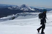 Premium Mt Ruapehu Summit Plateau Guided Group Hike