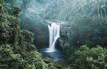 Ubud Highlight Private Tour - All Inclusive Entrance fee