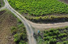 Guided E-bike Tour