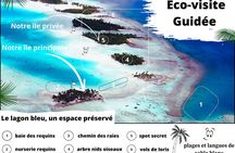 BLUE LAGOON | Eco-tour | Snorkeling Avatoru | Secret Green Lagoon
