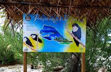 BLUE LAGOON | Eco-tour | Snorkeling Avatoru | Secret Green Lagoon