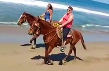 HorseBack Rides On the Beach
