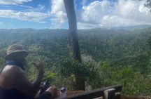 3 Hours Private Hiking and Bushwalking in the Aiea Loop Trail 