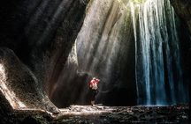 Private Sightseeing Tour of Bali with Transfer Included