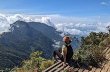 From Kandy: Nuwara Eliya Day Tour (Tea Trails, Waterfalls etc..)
