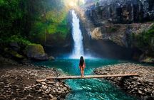 Bali: Ubud (Temple, Spring, Rice Terraces, & Waterfall)