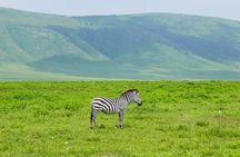 6 Days Memorable Great Migration Tour in Mara Crossing