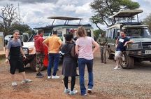 Safari in Tsavo and Amboseli for 5 Days and 4 Nights 