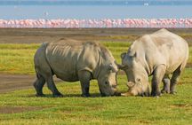 5Day Masai Mara, Lake Nakuru and Naivasha Daily Budget Safari