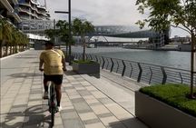 Dubai Electric Bicycle Tour