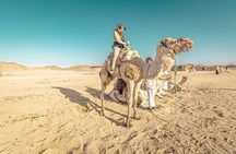 Jeep Cruise Stargazing with Horse Riding & BBQ Dinner - Hurghada