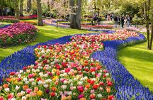 From Amsterdam: Keukenhof Gardens Ticket and Transfer