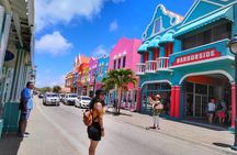 4-Hour Guided Island Tour in Bonaire for Singles and Doubles