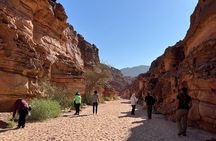 Sinai Valleys One Day Hiking Tour with Guide