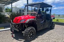 Buggy Tour South of Mauritius