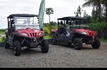 Buggy Tour South of Mauritius