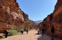 2 Day Private Desert Experience in Sinai