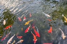 Off-beaten Route: Shanghai Old Town Discovery&Street Food Tasting