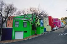 Private Tour: Penguins, Cape Point and Cape of Good Hope 